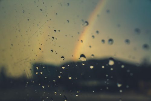 雨の日